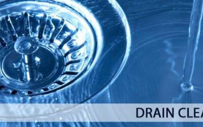 Biological drain cleaning