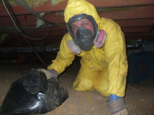 sewage cleaning today