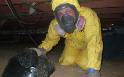 Sewage cleaning today