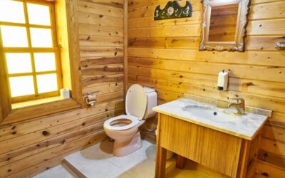3 Simple Ways to Avoid a Sewer Backup and Save Your Home from Going Down the Toilet