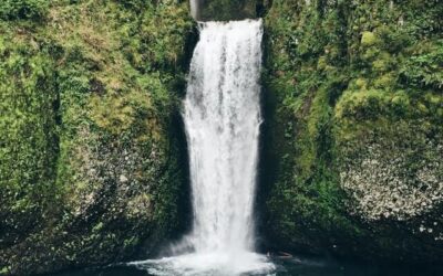 How to Test Water Pressure in Your House: Everything You Need to Get Started