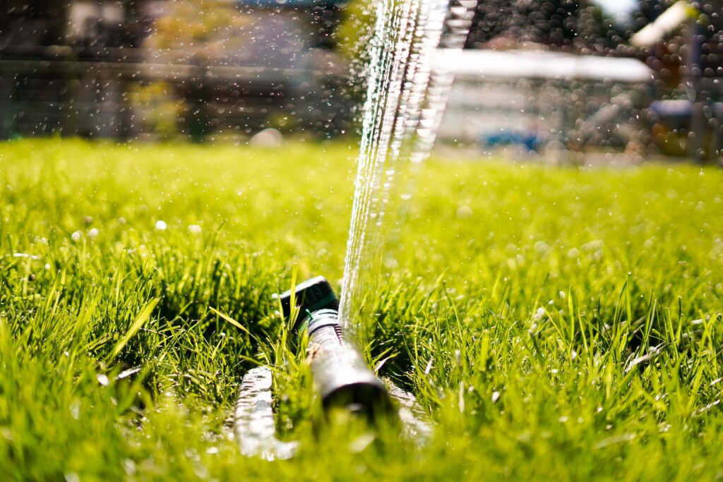 How to Find a Water Leak in Your Yard Before it Causes Serious Damage