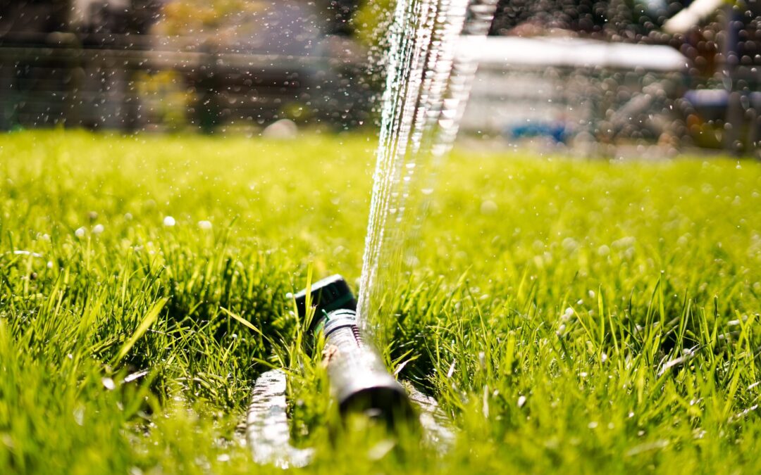How to Find a Water Leak in Your Yard Before it Causes Serious Damage
