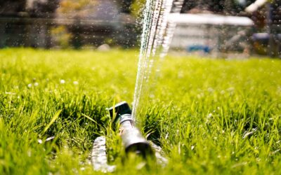 How to Find a Water Leak in Your Yard Before it Causes Serious Damage