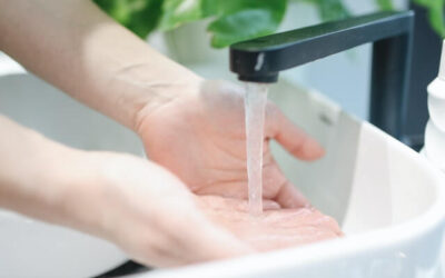 Clogged Sink? Here’s How to Clean the Drain Trap
