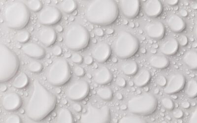 5 Signs You Have a Water Main Leak That Needs Your Attention ASAP!