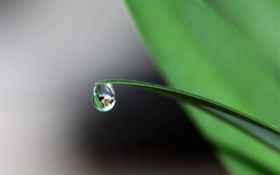 5 More Signs of a Water Main Line Leak That Requires Immediate Attention
