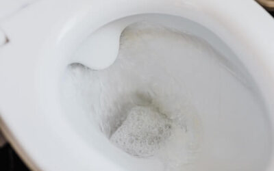 How Often Should a Wax Ring Be Replaced on Your Toilet?