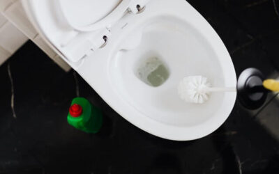 5 Different Types of Toilet Flanges