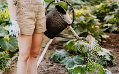 Love gardening? Here’s What to Know About Your Yard Irrigation and Other Outdoor Plumbing