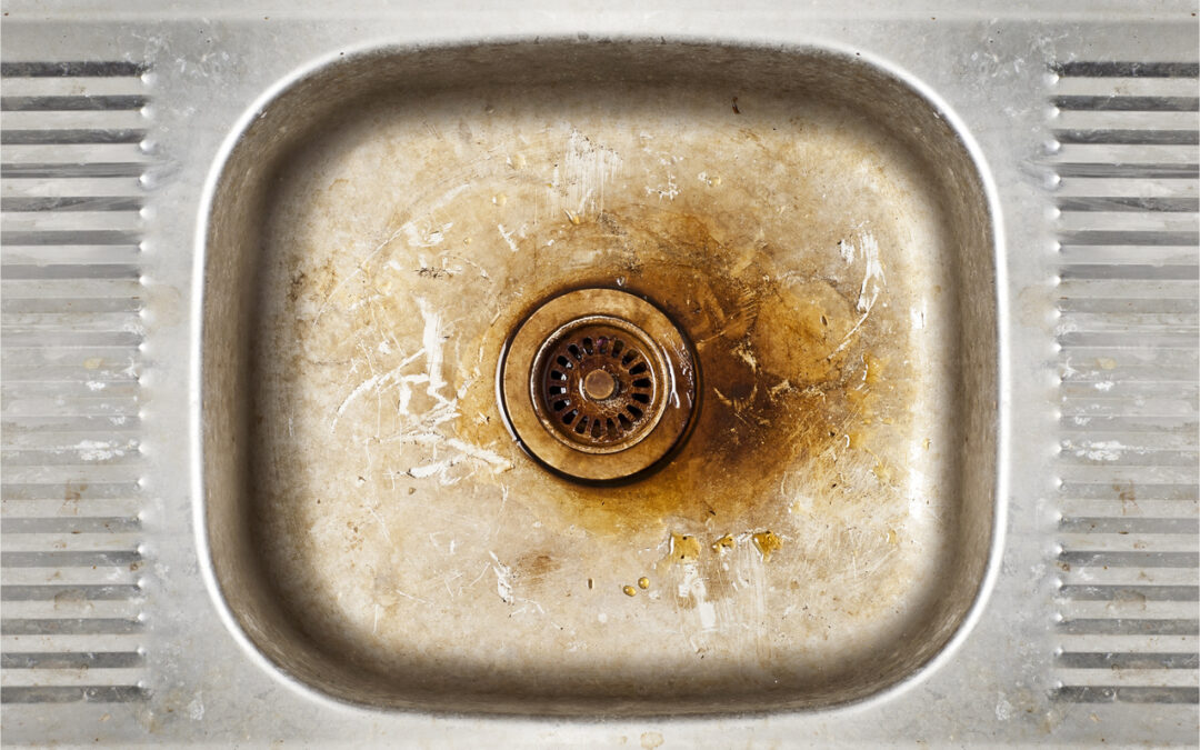 What is Biofilm in Drain Pipes?
