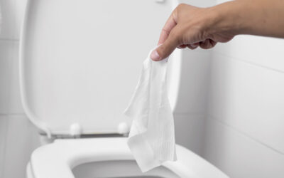 Are Flushable Wipes Really Flushable?
