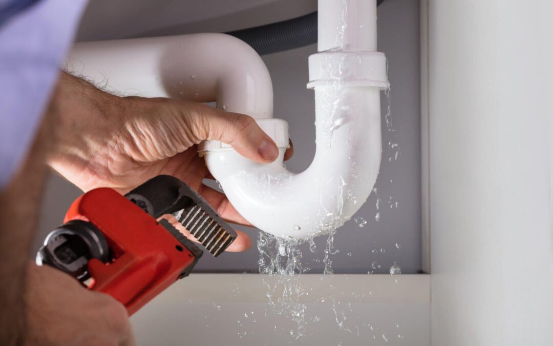 Emergency Plumber Services: 5 Signs You Need Help Fast