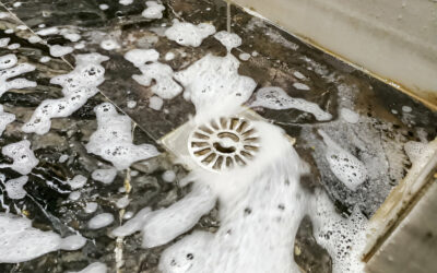 How to Unclog a Clogged Shower Drain—And When to Call an Arizona Plumber